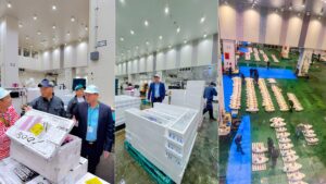 Khảo sát Chợ đầu mối Toyosu – Nhật Bản